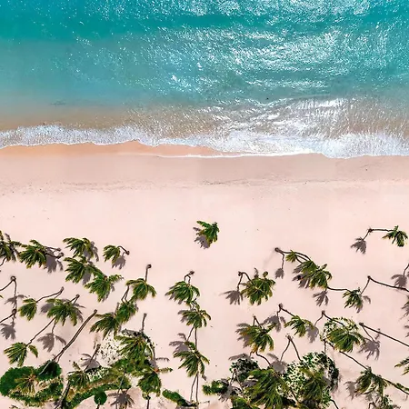Hyatt Vivid Punta Cana - Adults-Only All-Inclusive Resort-3